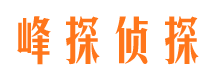 芒康市场调查